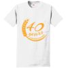 Authentic 100% Cotton T Shirt with Pocket Thumbnail