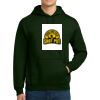 DryBlend ® Pullover Hooded Sweatshirt Thumbnail